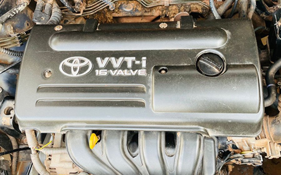 WhatsApp Image 2024-02-28 à 18.47.01_ecc733fb