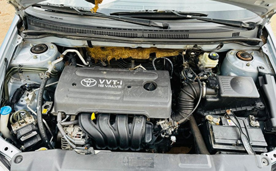 WhatsApp Image 2024-08-28 à 14.30.43_8097536e