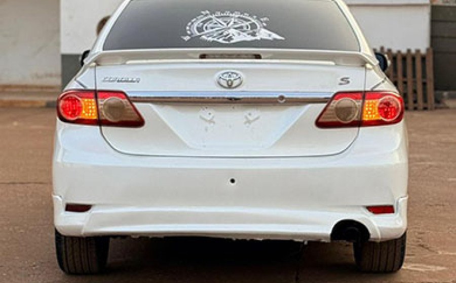 WhatsApp Image 2026-01-29 at 20.10.31