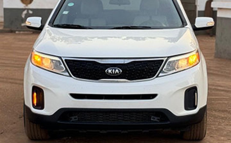 WhatsApp Image 2026-01-31 at 13.11.11