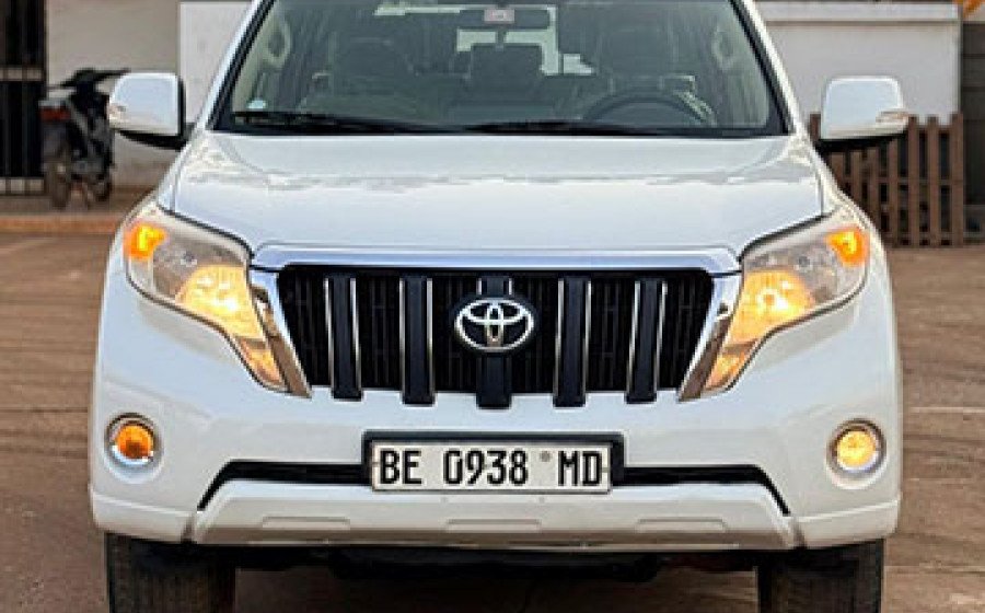 WhatsApp Image 2026-01-31 at 13.13.57