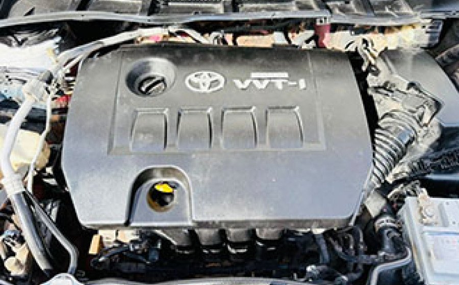 WhatsApp Image 2026-02-04 at 13.37.46