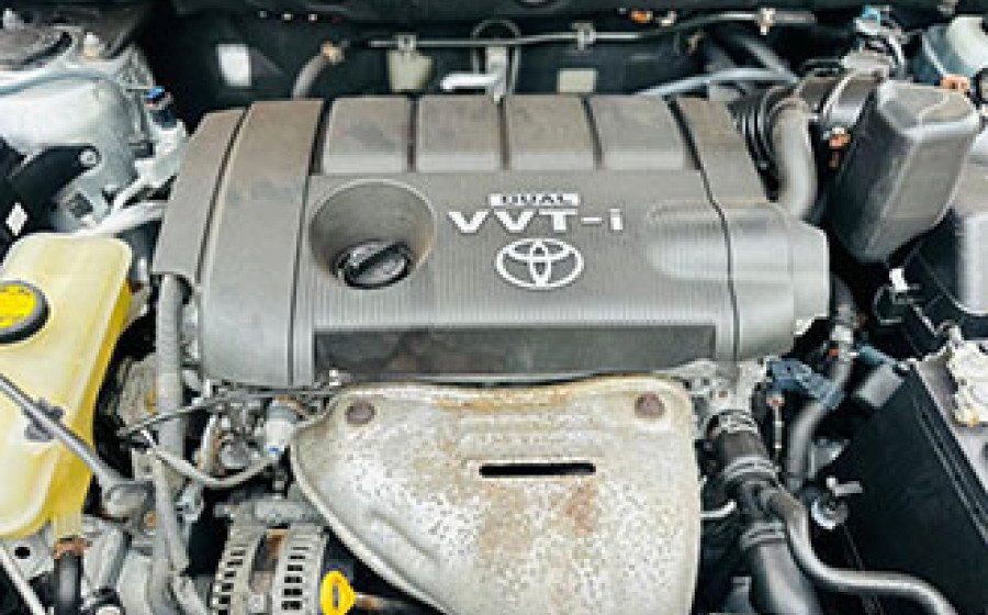 WhatsApp Image 2026-02-04 at 20.01.50