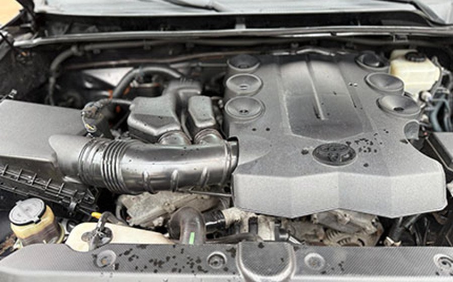 WhatsApp Image 2026-02-04 at 20.09.47.jpegWqs