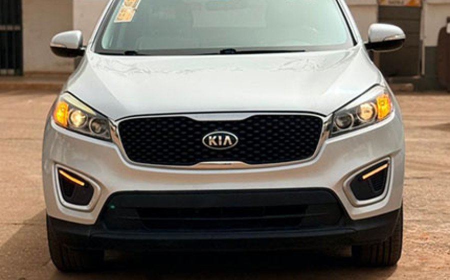 WhatsApp Image 2026-02-17 at 09.44.06 copie