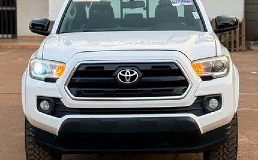 WhatsApp Image 2026-02-18 at 20.53.22 copie