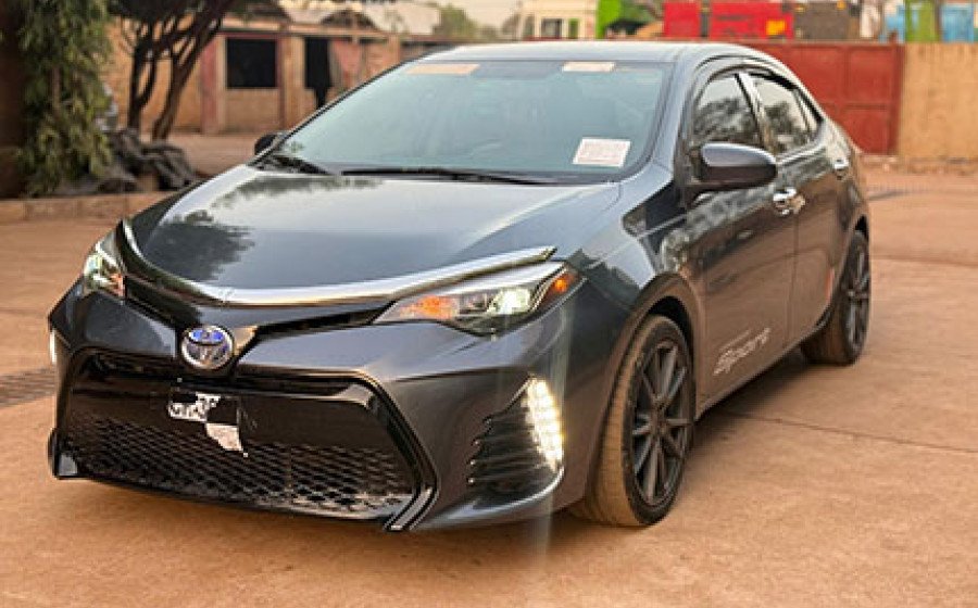 WhatsApp Image 2026-02-22 at 19.38.14 copie