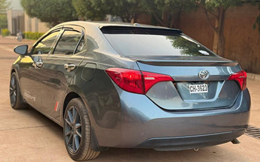 WhatsApp Image 2026-02-22 at 19.38.15 copie