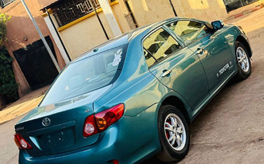 WhatsApp Image -02-23 at 20.08.44 copie