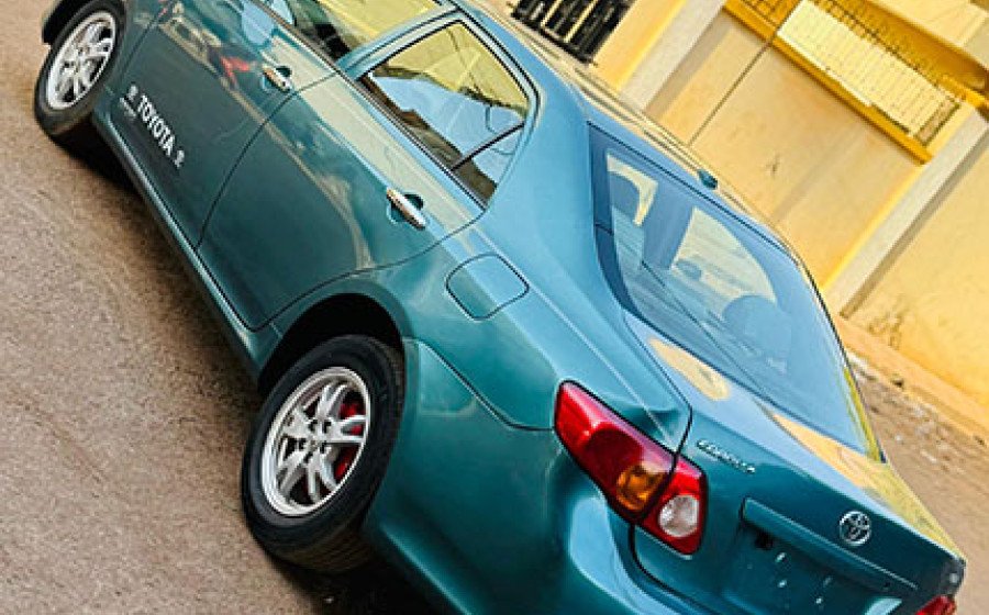 WhatsApp Image 2026-02-23 at 20.08.43 copie