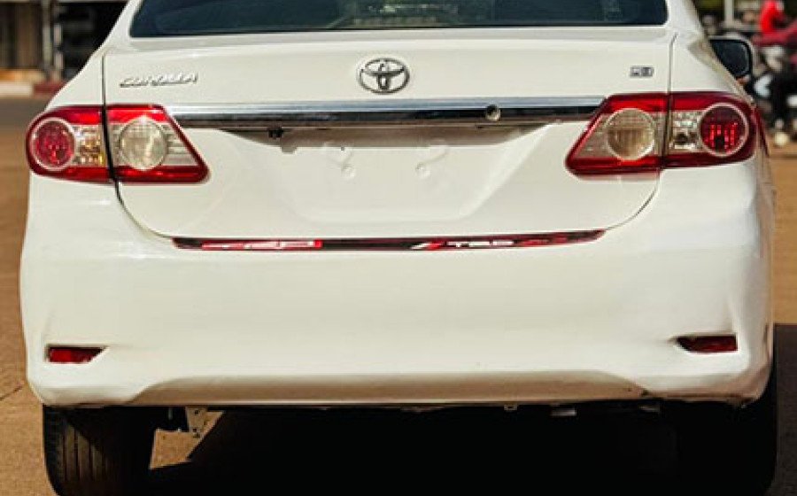 WhatsApp 2026-02-24 at 20.53.37 copie