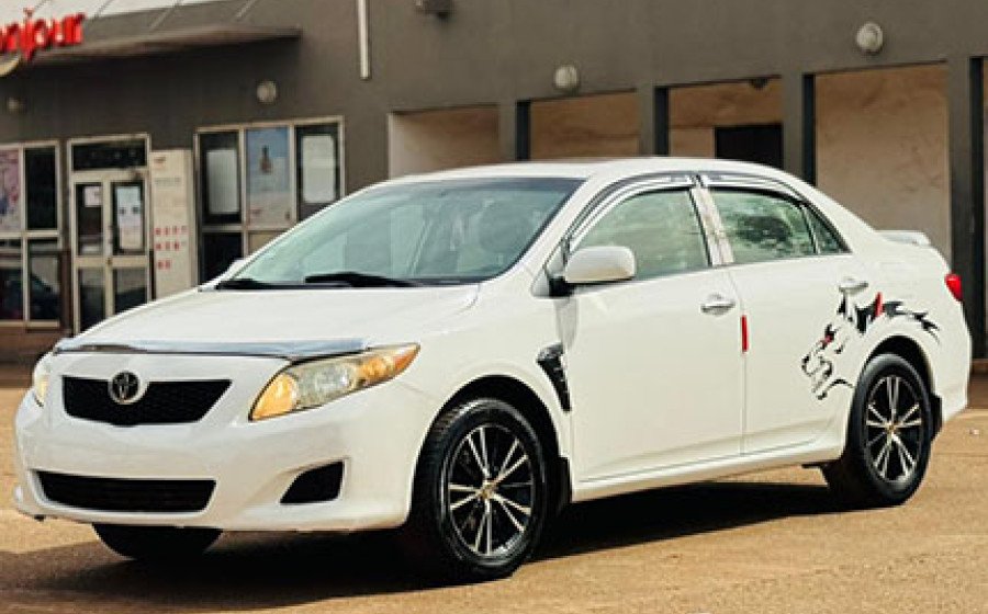 WhatsApp Image 2026-024 at 20.52.12 copie