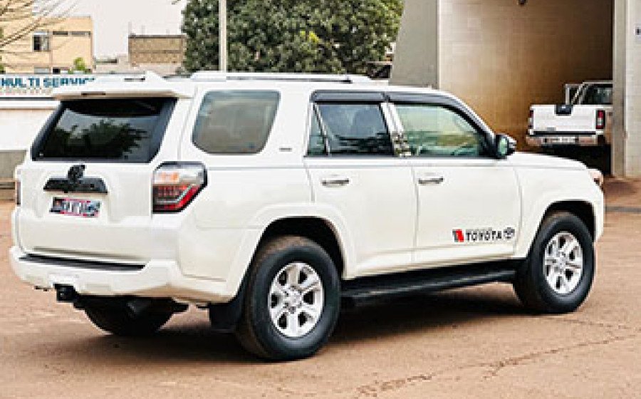 WhatsApp Image 2026-03-03 at 05.19.01 copie