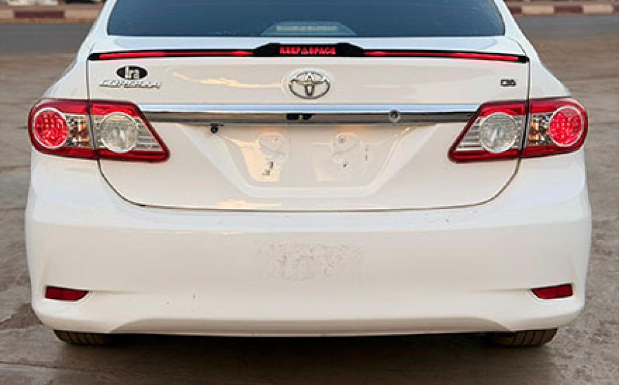 WhatsApp Image 2026-03-19 at 17.37.36 copie