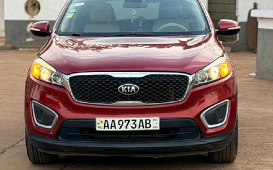 WhatsApp Image 2026-03-19 at 16.50.06 copie