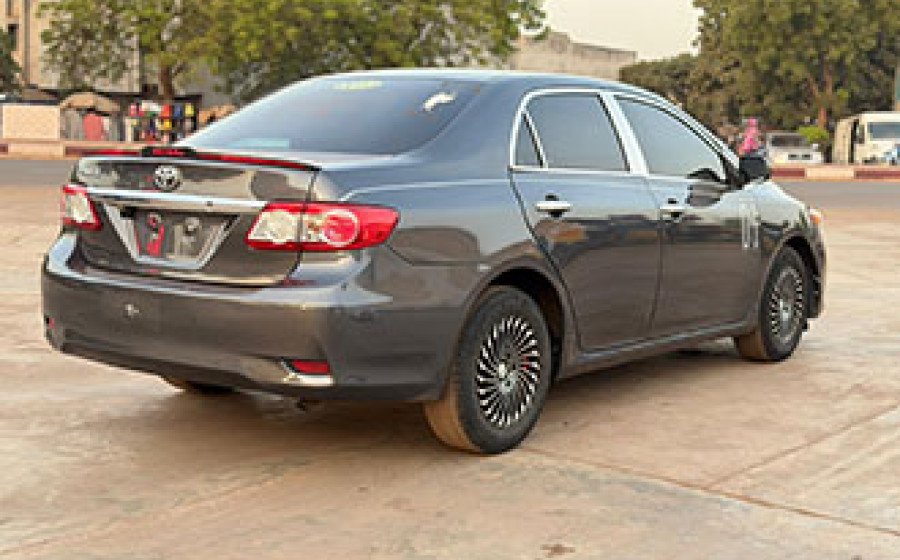 WhatsApp Image 2026-03-19 at 15.22.05 copie