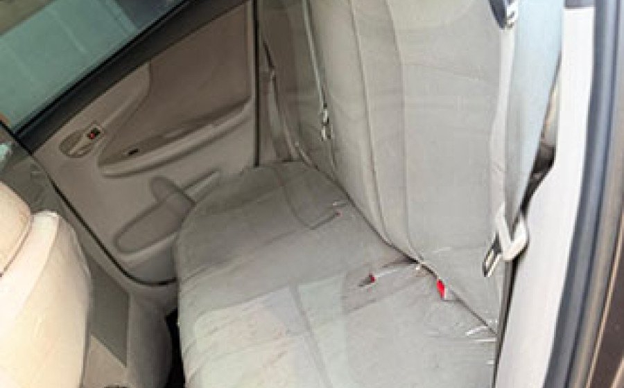 WhatsApp Image 2026-03-19 at 15.22.09 copie