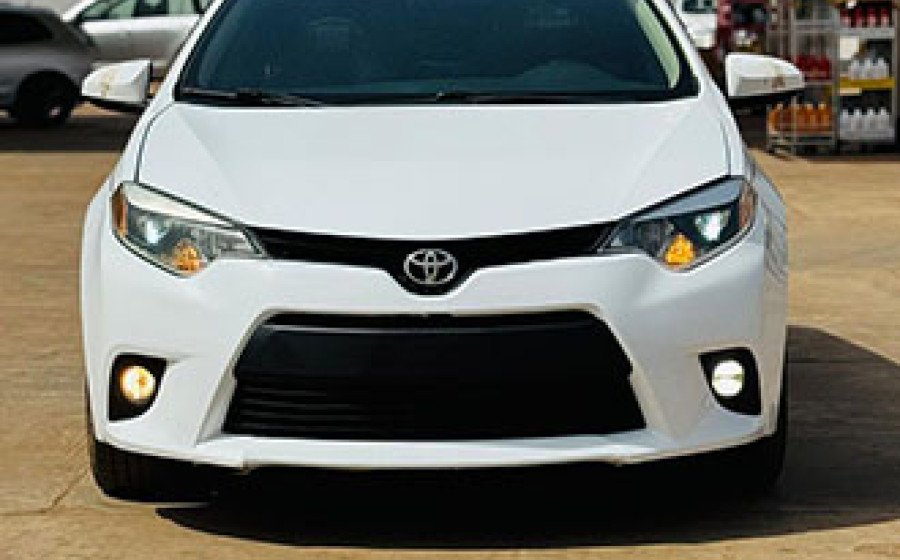 WhatsApp Image 2026-03-20 at 03.16.38 copie