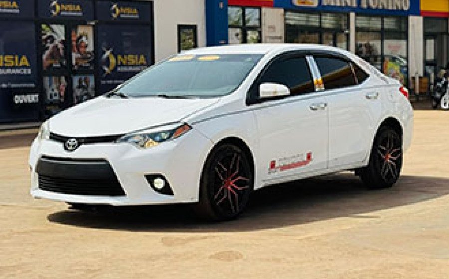 WhatsApp Image 2026-03-20 at 03.16.37 copie