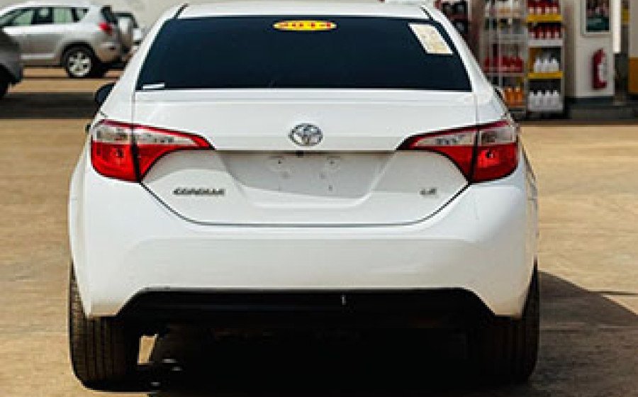 WhatsApp Image 2026-03-20 at 03.16.39 copie