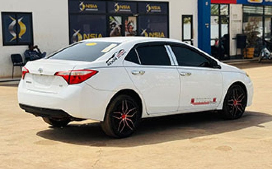 WhatsApp Image 2026-03-20 at 03.16.40 copie