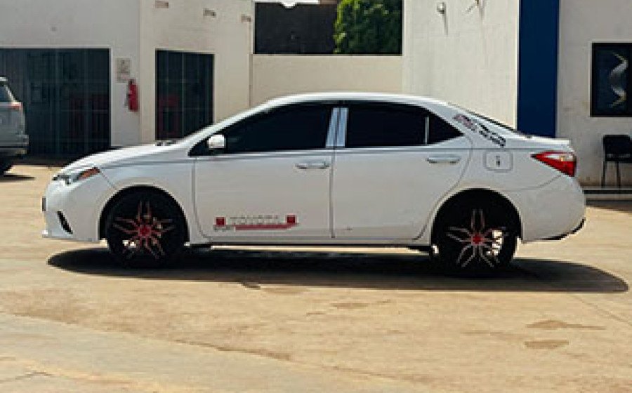 WhatsApp Image 2026-03-20 at 016.39 copie